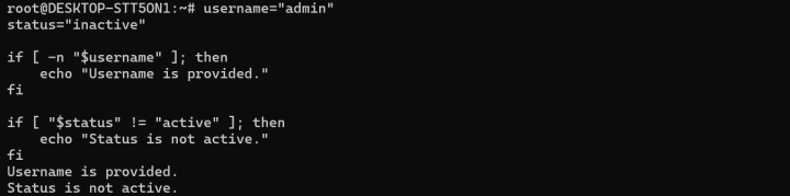 String Comparisons using Bash if Statement: